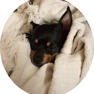 Meet your Posher, Billy